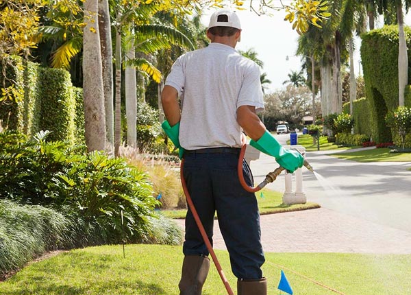 About Mesa AZ Pest Control Pros